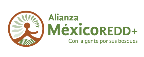 Foro Conservación de Bosques